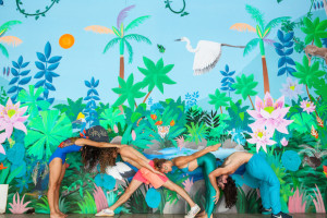 Dancenorth stretches in new directions